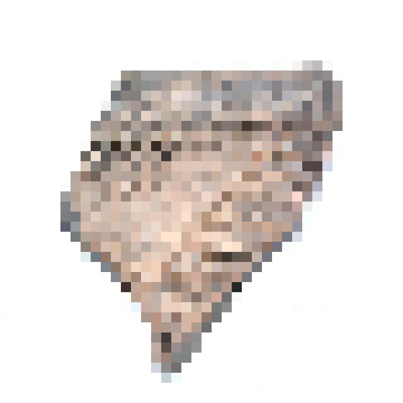 Сосуд (фрагмент)