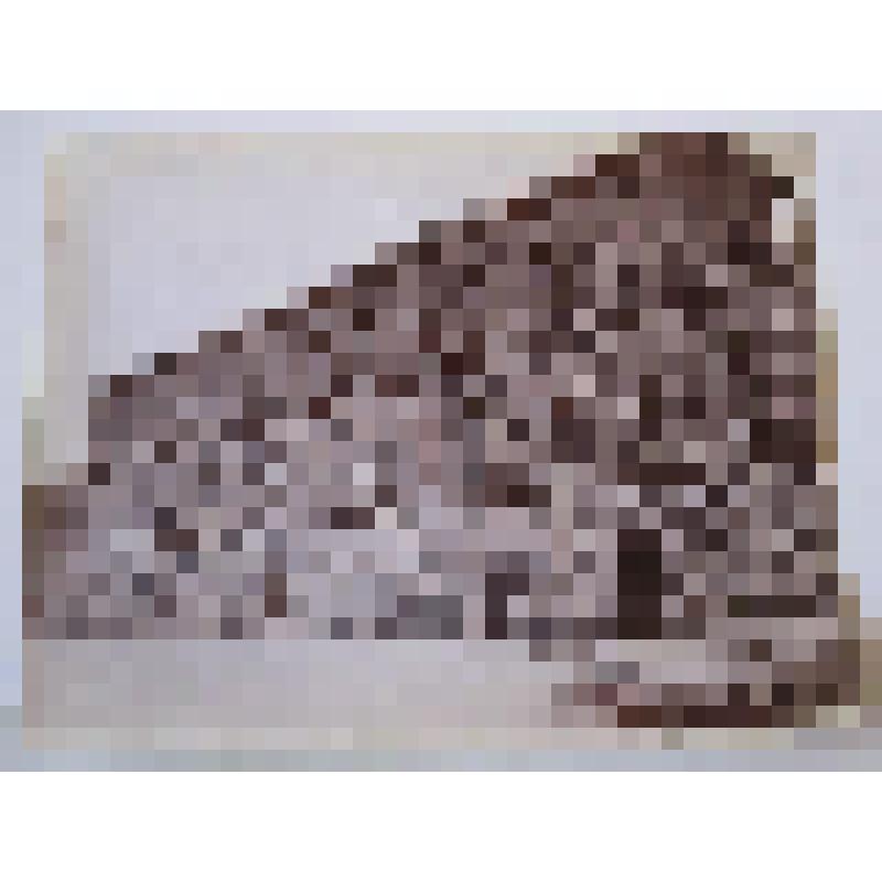 Палаццо Питти. 1458-1464 гг. Италия, Флоренция. Палаццо Питти. Вид на центральную чать фасада. Авт. Брунеллески