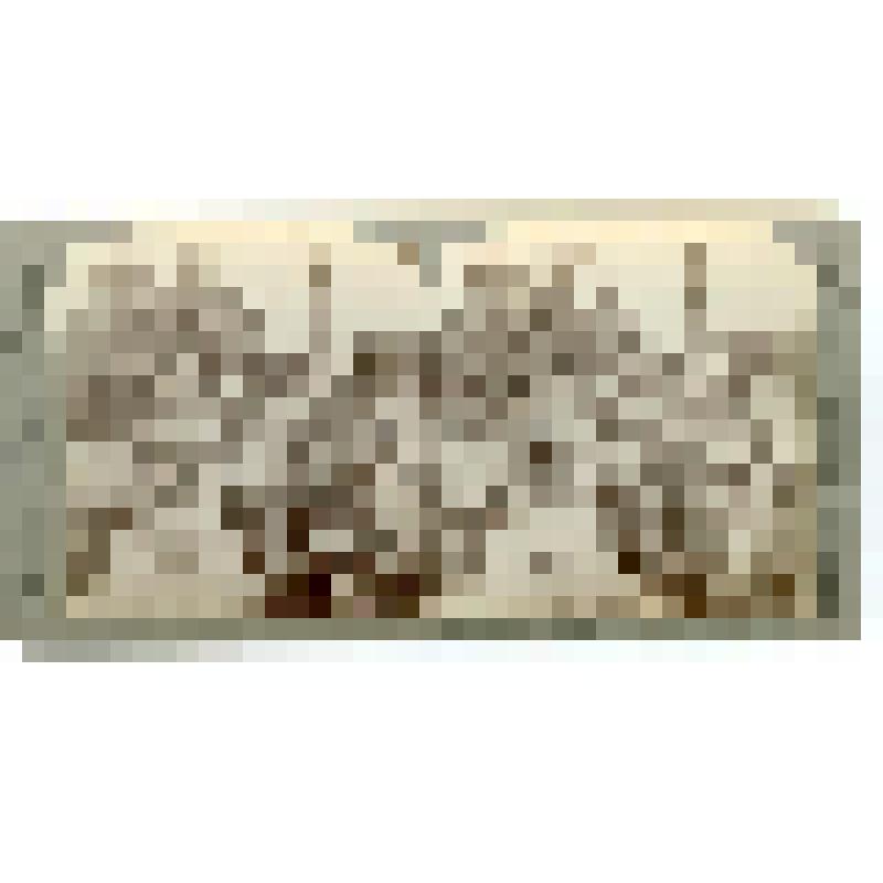 Джаястамбха (Башня Победы). 1458-1468 гг. Индия. Читор. Джаястамбха (Башня Победы). Общ. вид. Underwood & Underwood