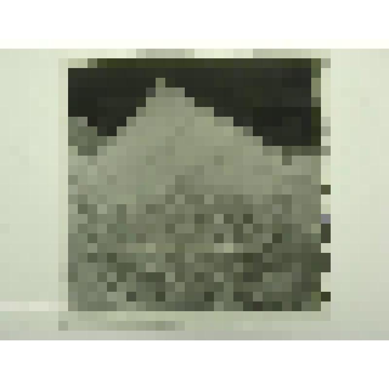 Дом А.П.Мартынова. Ул. П.Морозова, 10-12. втор.пол. XIX в. Челябинская  обл., г. Карабаш, пос. Южный (с.Саймоновское). Дом А.П.Мартынова. Ул. П.Морозова, 10-12, втор.пол. XIX в. Амбар. Вид торцевого фасада по улице П.Морозова