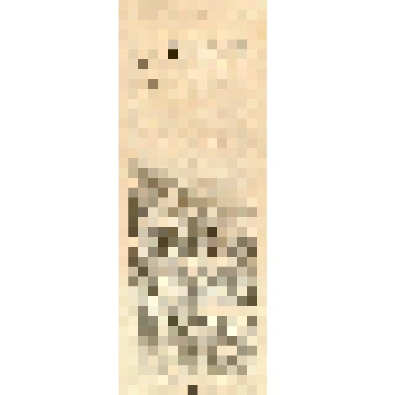 Российская социал-демократическая рабочая партия. Московский комитет РСДРП. К рабочим города Москвы