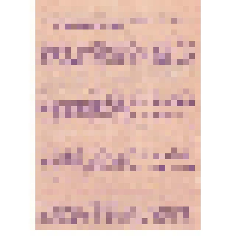 План проведения празника 10-летия октябрьской революции