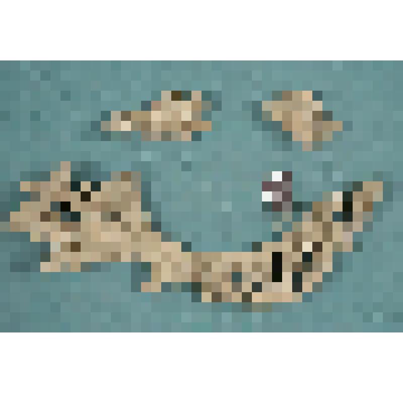 Рама от иконостаса