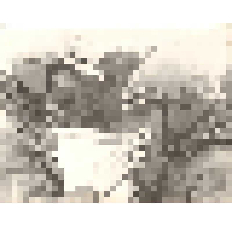 Фото. Участники мотопробега