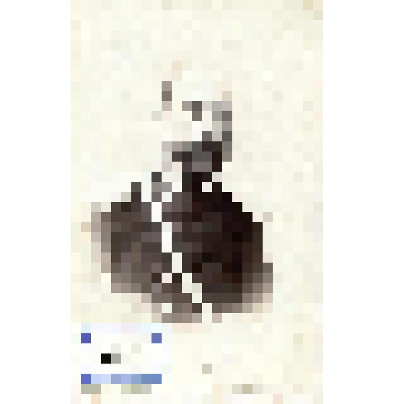 Фотография черно-белая. Журавлев Арсений Степанович