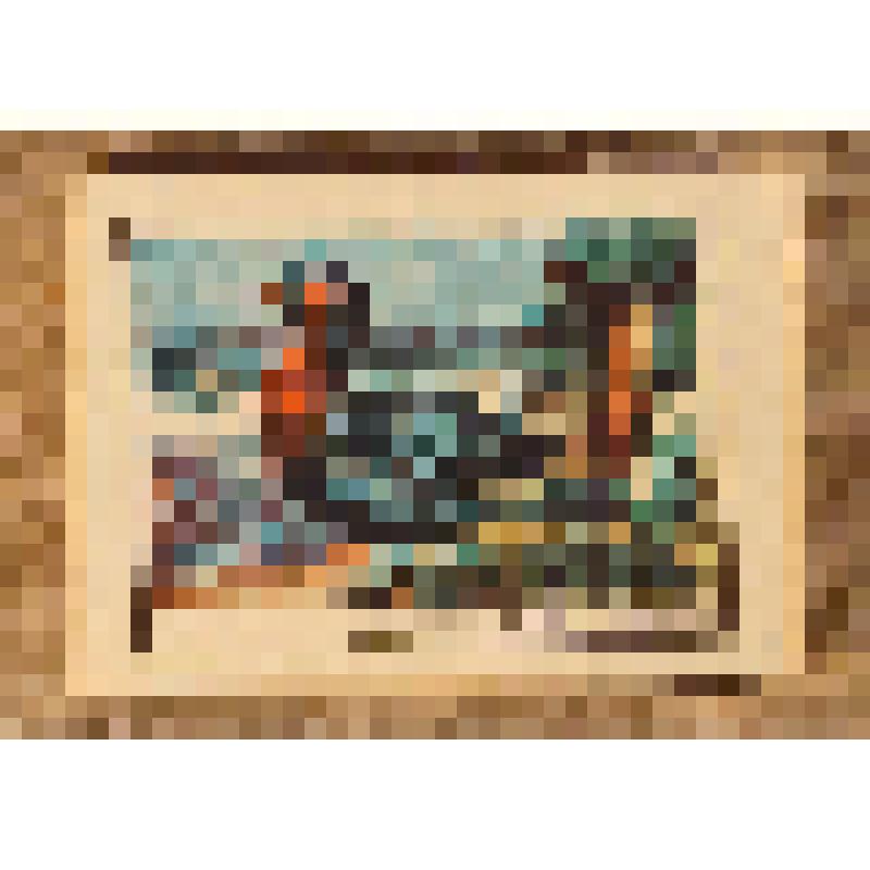 Коробок спичечный сувенирный "Краснозобая казарка", из набора спичек сувенирного "Занесены в Красную Книгу СССР". 1982 г