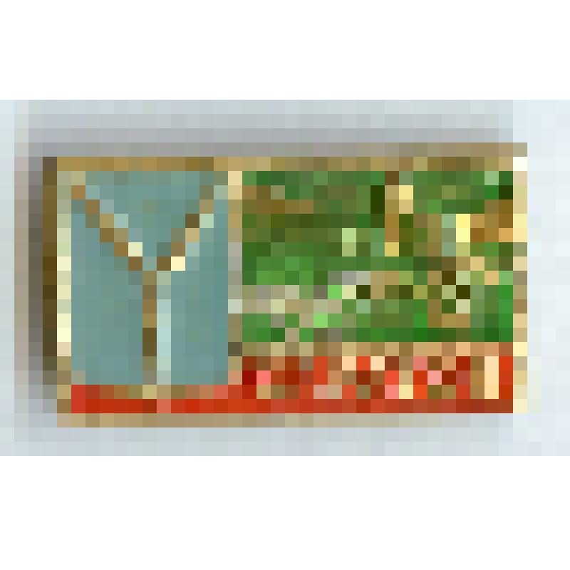 Значок нагрудный «Саратов»