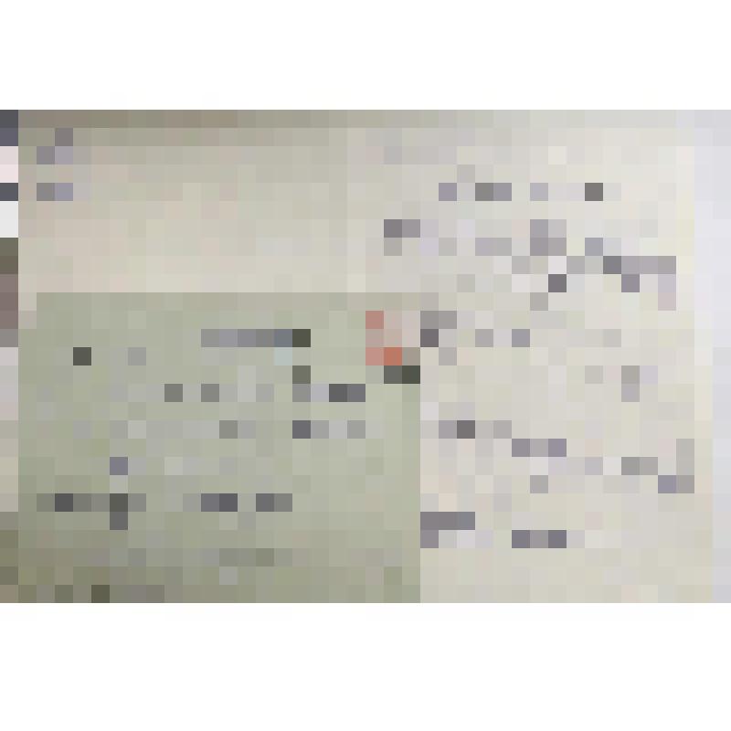 Письмо к Степановой А.И