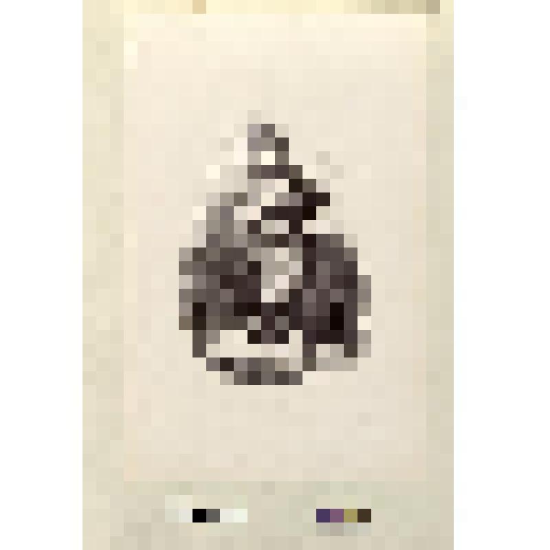 Иллюстрация в полный лист к роману Э. Сю. "Тайны Парижа"