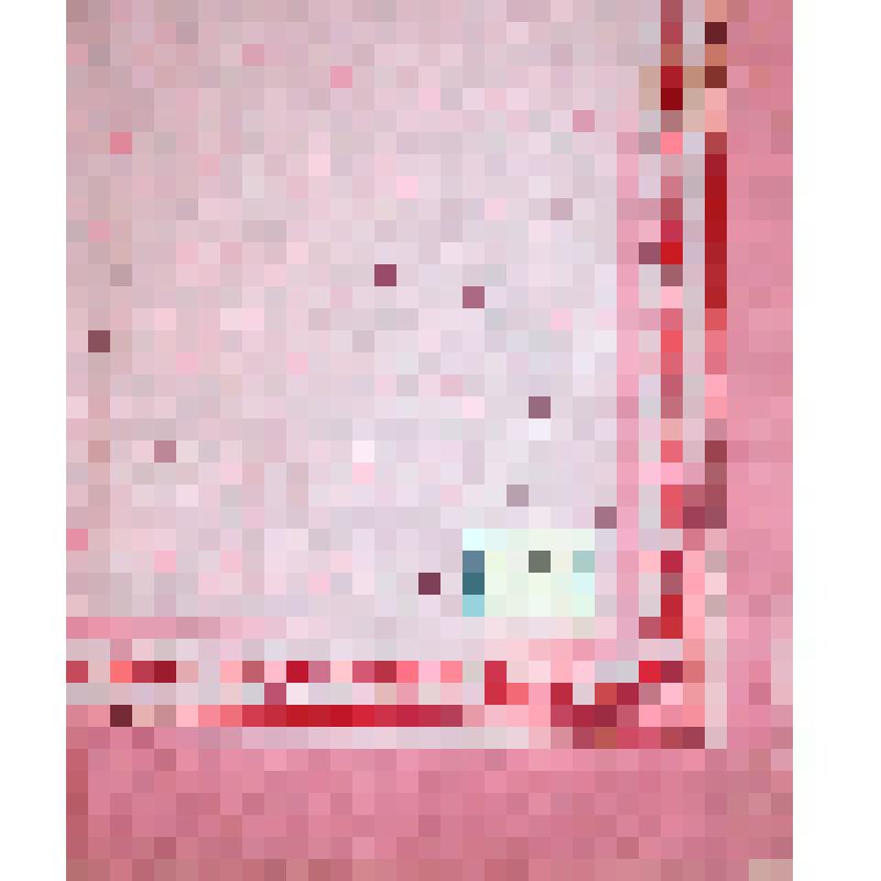 Платок х/б головной (фрагмент)