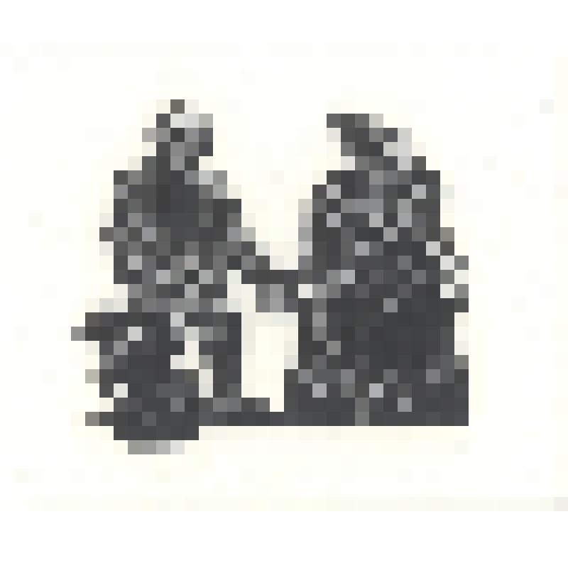 Заставка. Из серии иллюстраций к книге Б.Шергина «Поморские сказки». 1956