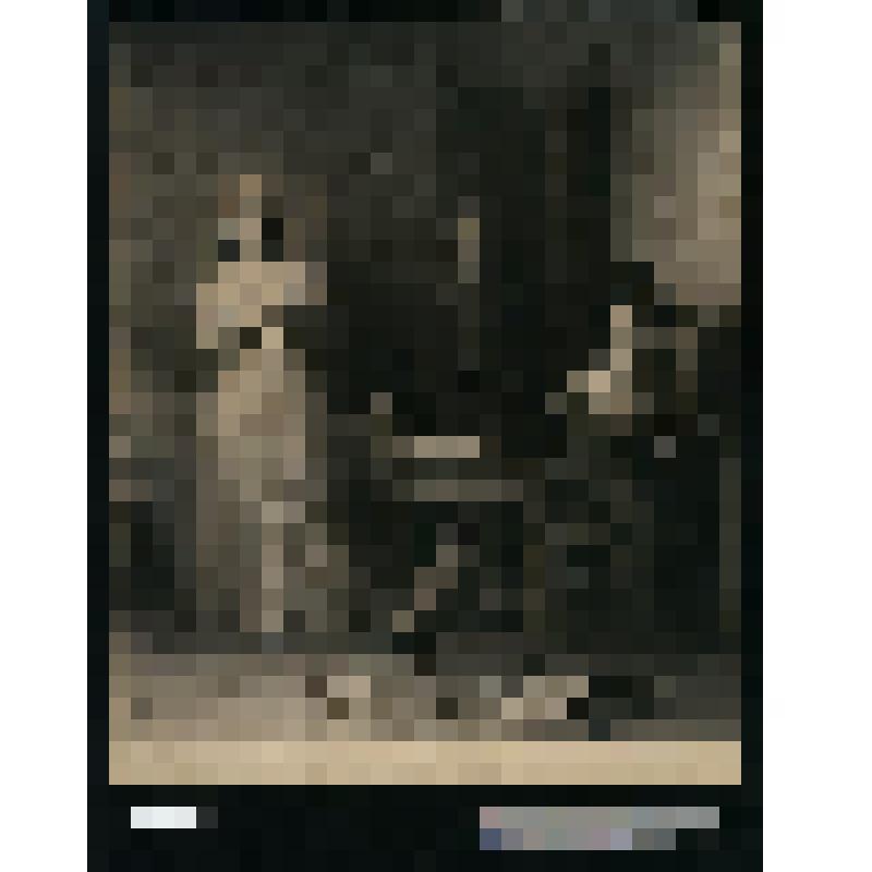 Шарлотта Корде на допросе в тюрьме