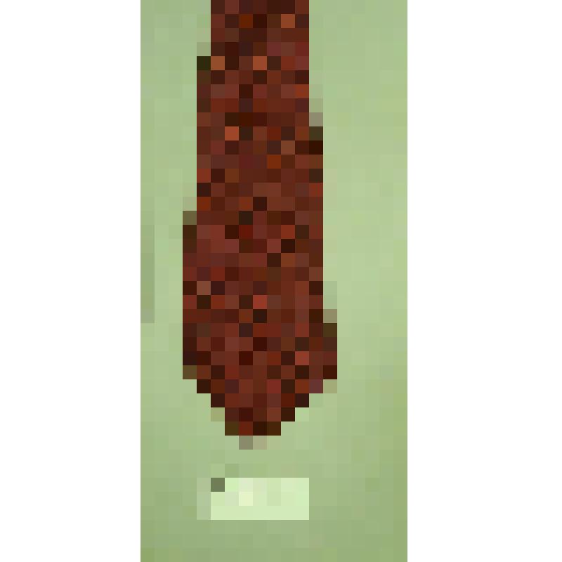 Галстук мужской завязывающийся