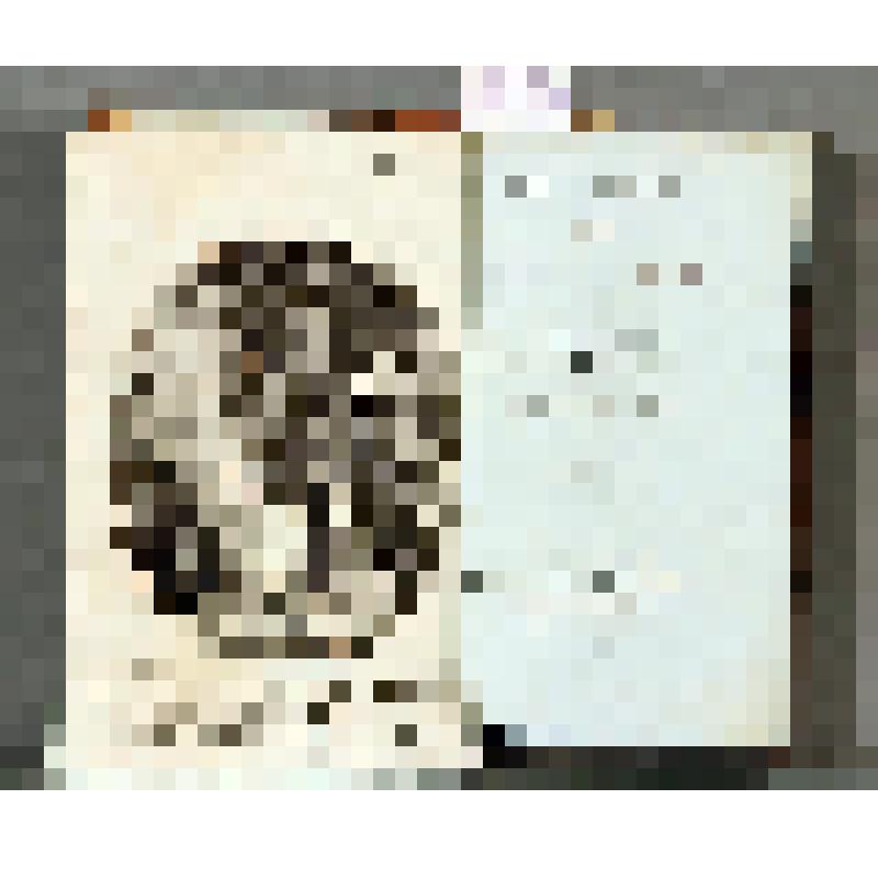 Книга. Recueil de contes. Tome premiеr