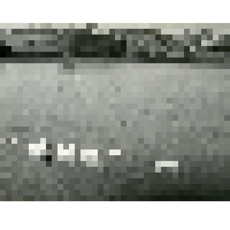 Фотография. Гуси на пруду с. Красногорское