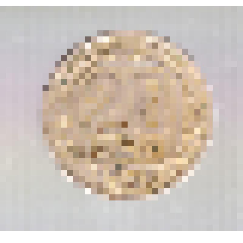 Монета достоинством 20 копеек 1949 года