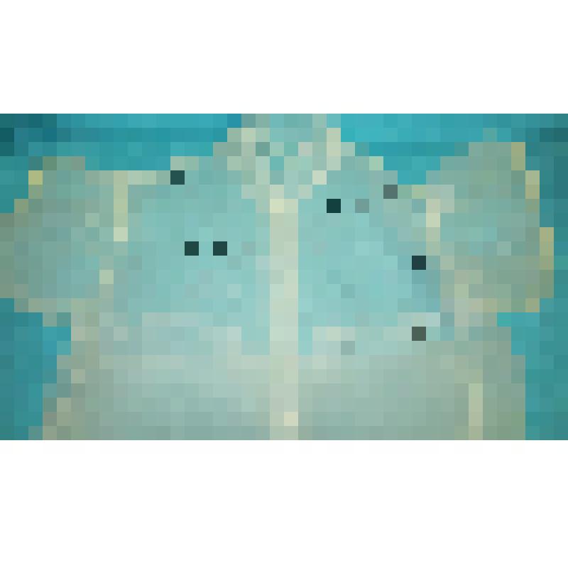 Блуза белая в черный горох