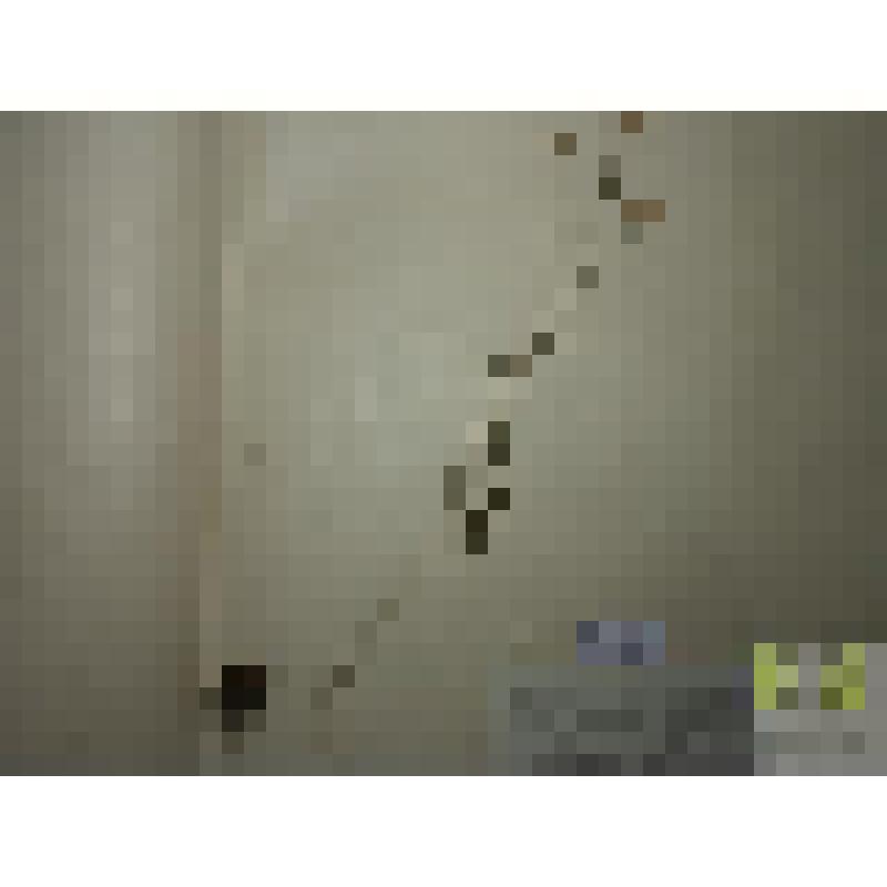 Сердечник луговой (Cardamine pratensis L.)