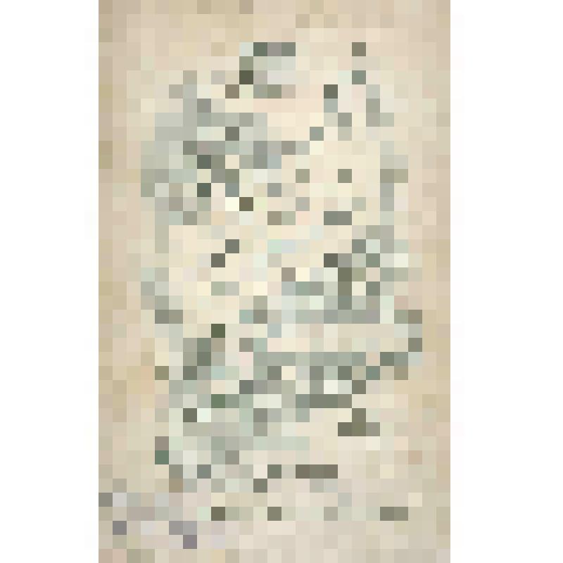 фотография. "Варнилов Дмитрий Андреевич - участник 1-ой русской революции в Ростове среди товарищей"