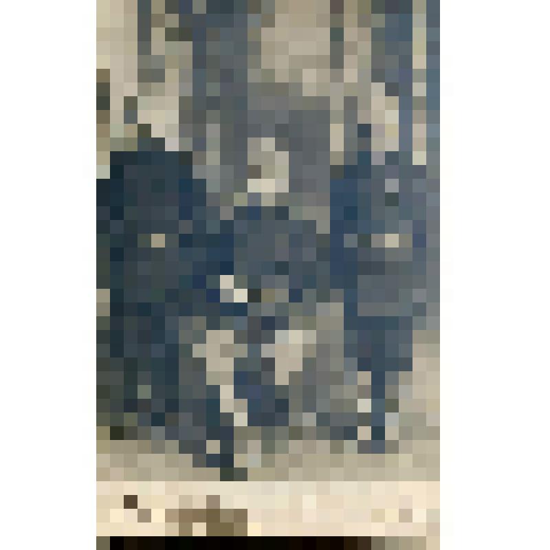 фотография. "Варнилов Дмитрий Андреевич - участник 1-ой русской революции в Ростове среди товарищей"