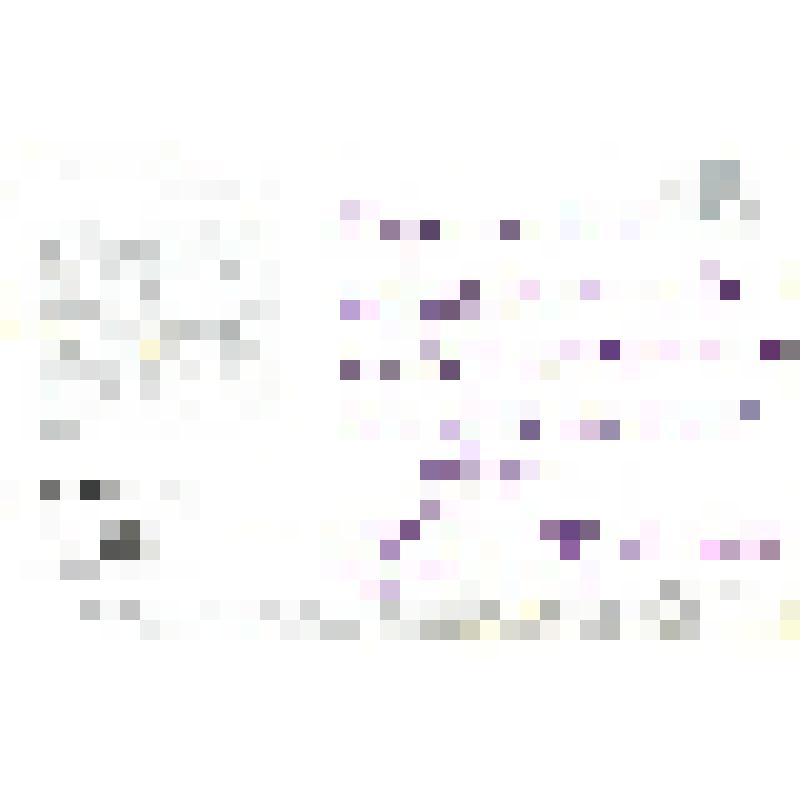 Фото-открытка цветная. Всеволод Сафонов