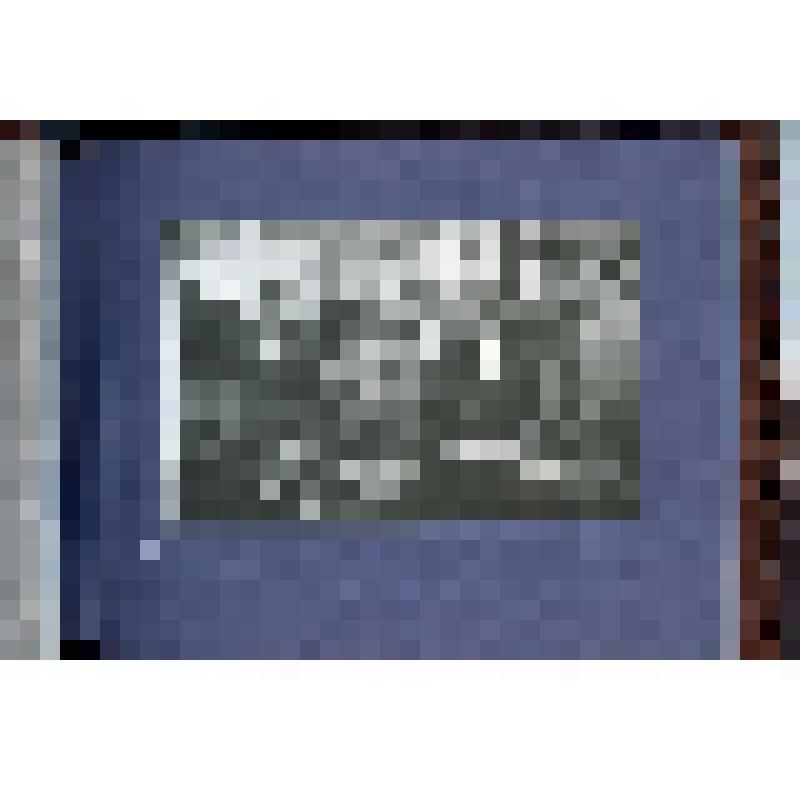 Альбом с фотографиями пребывания советской делегации в Румынии. Подарок Н.А. Российскому, новатору производства, лауреату Сталинской премии