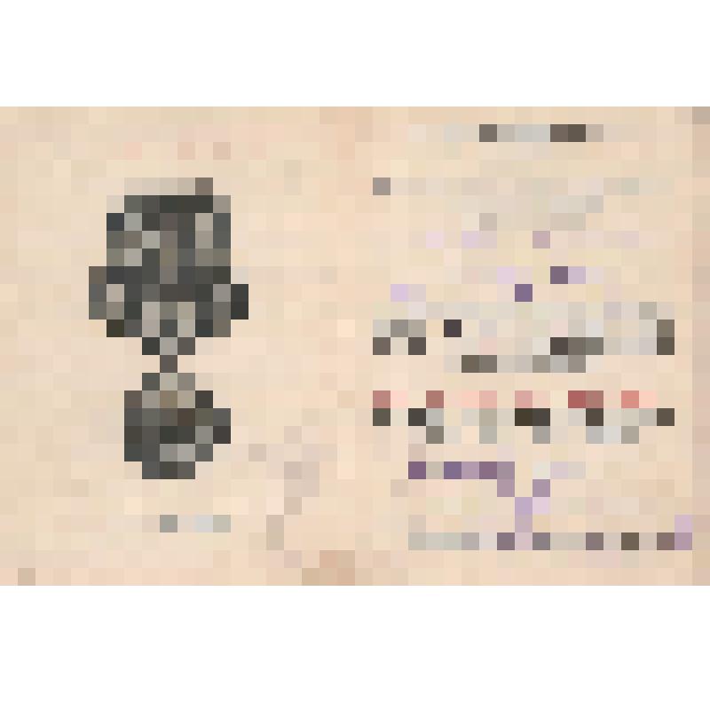 Удостоверение Субботина Николая Дмитриевича № 337619 о награждении медалью "За победу над Японией"