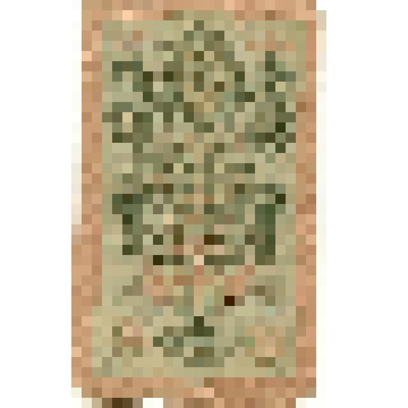 Бумажный денежный знак. Государственный кредитный билет достоинством 10 рублей образца 1909 г. Серия: ПО. Номер: 779120