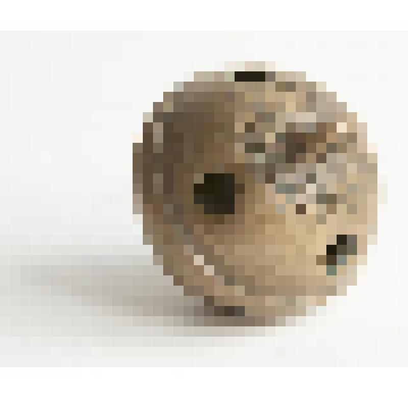 Бубенчик упряжной