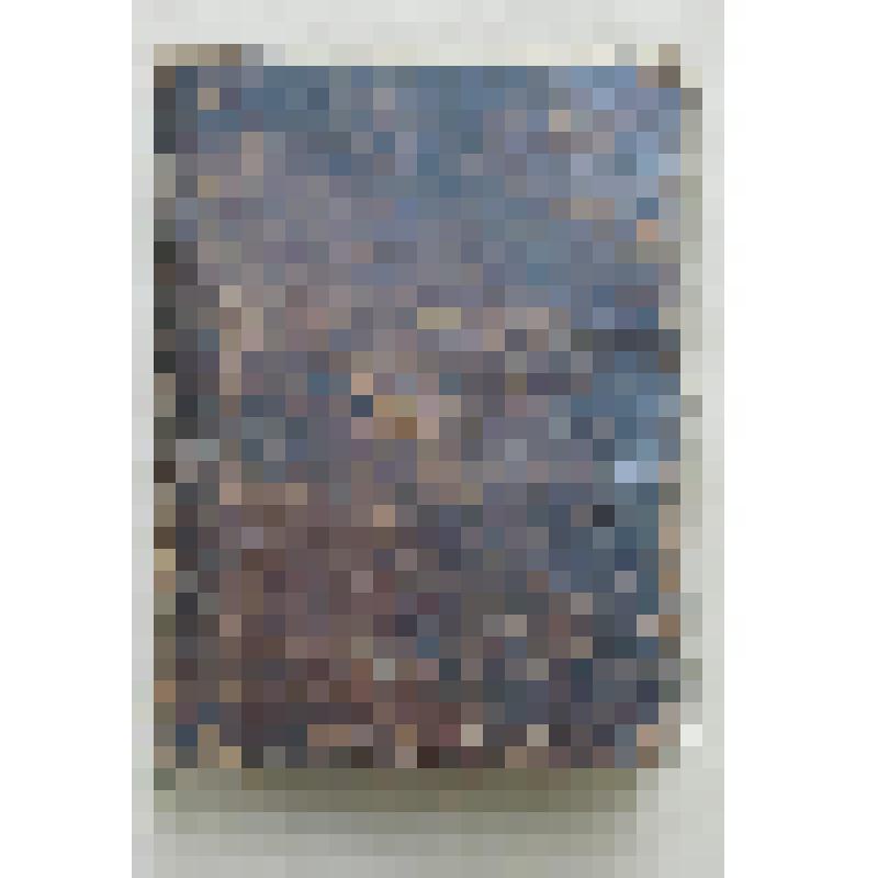 Книга рукописная. Триодь постная. XVI в. (середина)