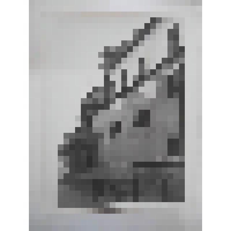 Костел св. Терезы. 1633-50 гг. Литва, г. Вильнюс. Костел св. Терезы. 1633-50 гг. Вид со стороны капеллы Поцеев (1783 г.)