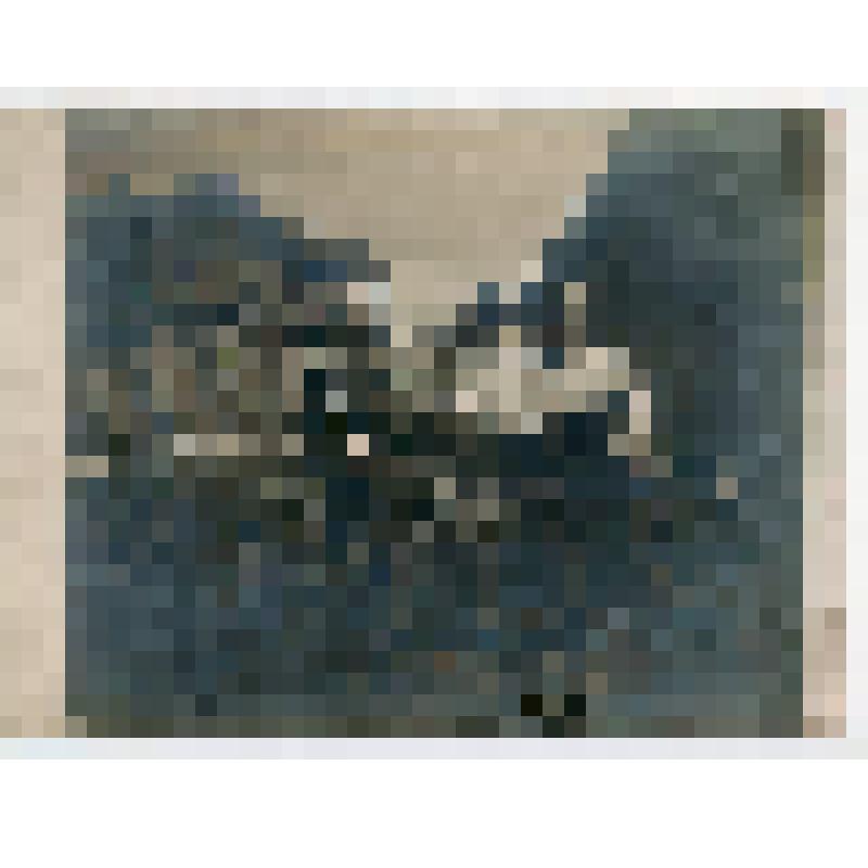 Фотография групповая. Павел Семенович Жуков, Анна Ефимовна Жукова, Вера Алексеевна Горская