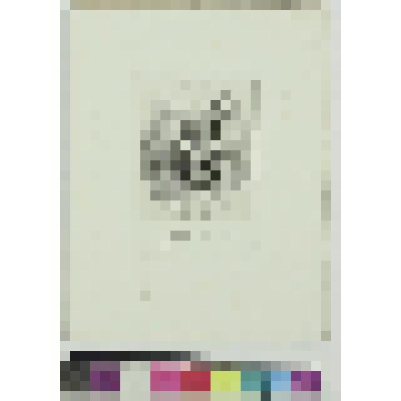 Занятия верховой ездой, гравюра