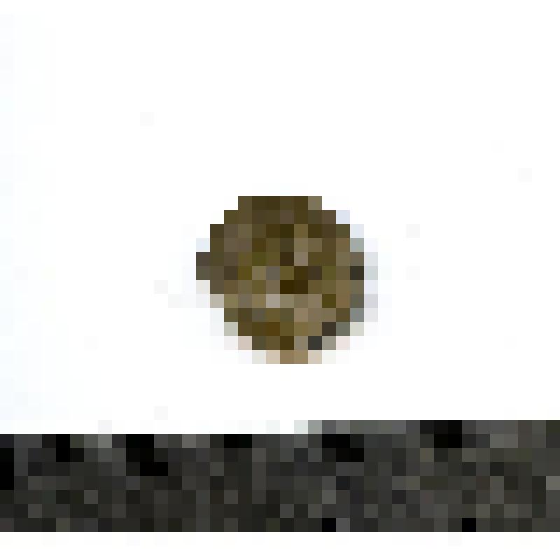 Монета. Акче