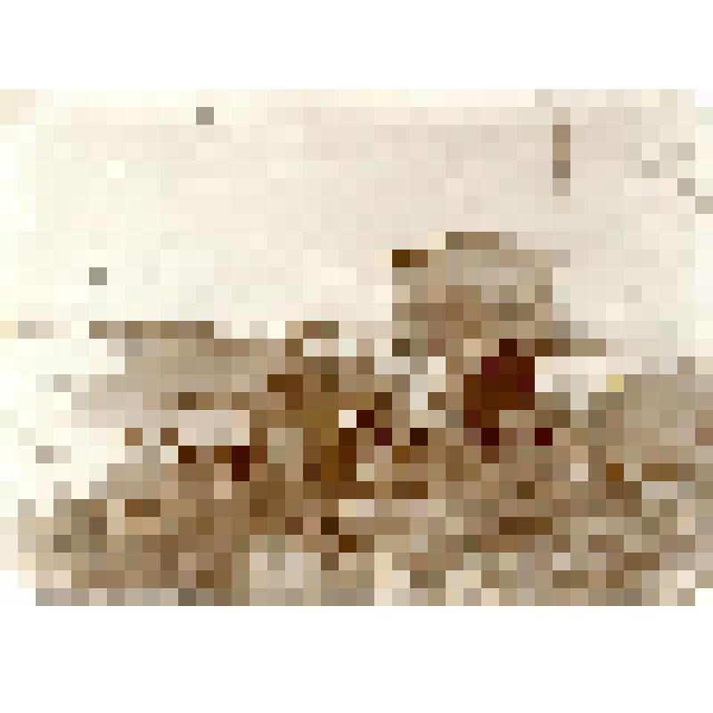 Фотография. Амбар для склада и палатка для жилья