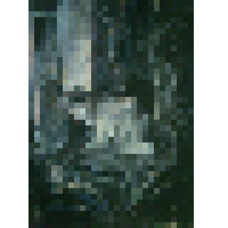 Убийство отца Карамазова. Иллюстрация к роману Ф.М.Достоевского "Братья Карамазовы"