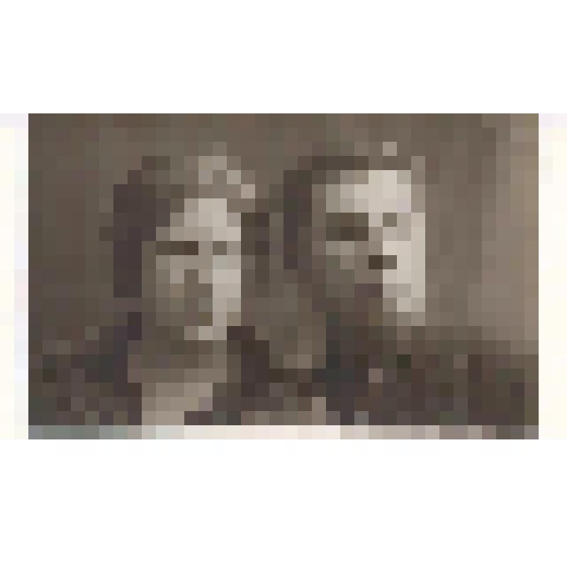 Фотография. Ирины Аркадьевны и Алексея Аркадьевича Салазкиных