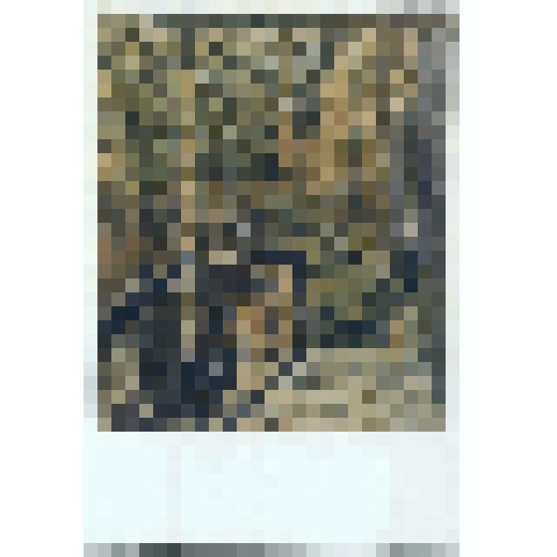 Терраса. 1915 г. Репродукция работы худ. Яковлева Б. Н