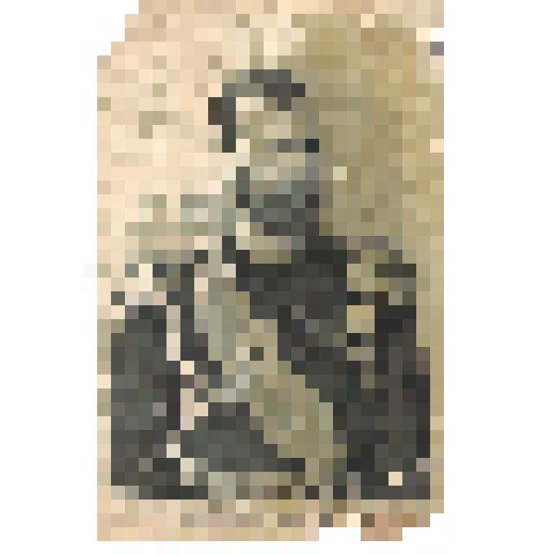 Портрет императора Николая II