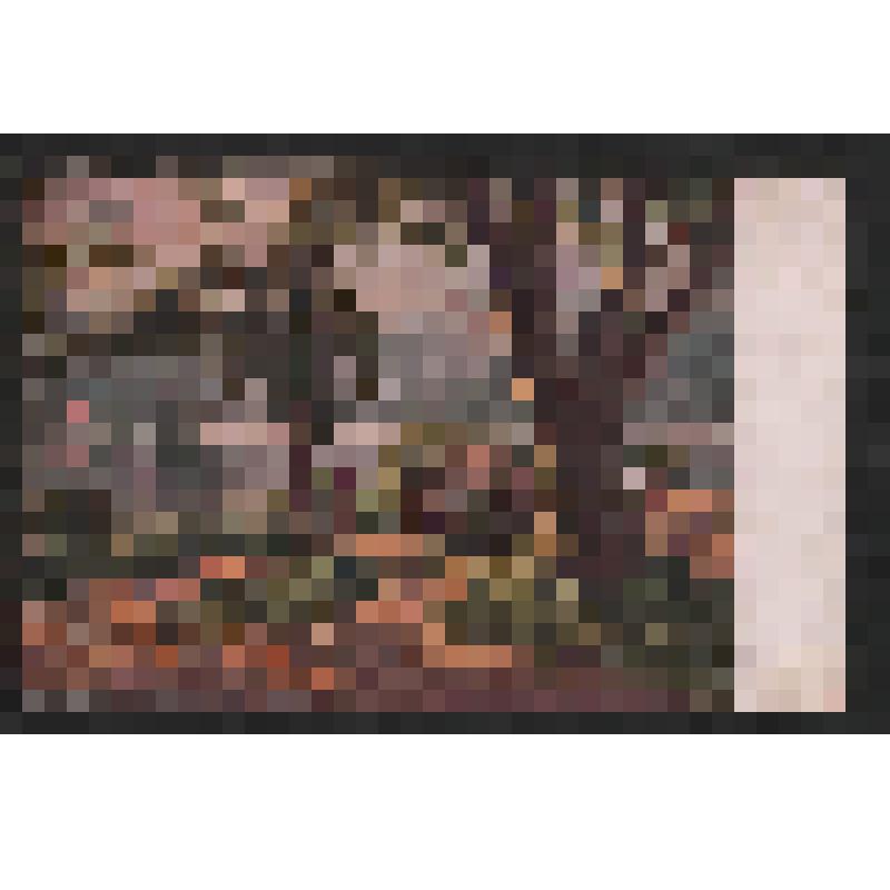 Открытка. Озеро в Кенди. (Цейлон). Серия IX. № 86