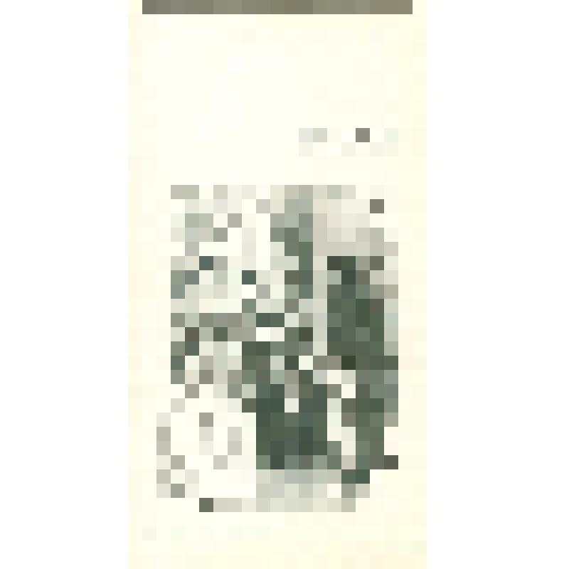 Иллюстрация 61  "- Вы не знаете еще моей дочери?" Из комплекта "А. Агин. Избранные иллюстрации к поэме Н.В. Гоголя "Мёртвые души". Грав. М. Приданцев, И. Неутолимов."