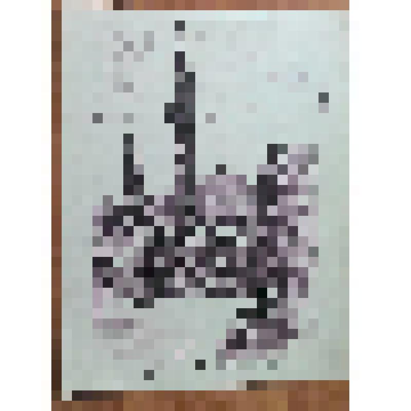 "Дворец в Бахчисарае". Рисунок