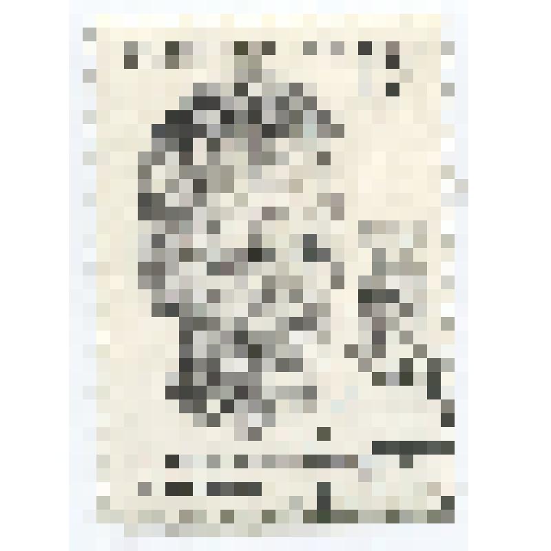 Марка почтовая СССР "Лауреат Нобелевской премии М.А.Шолохов" (1905-1984 гг.)