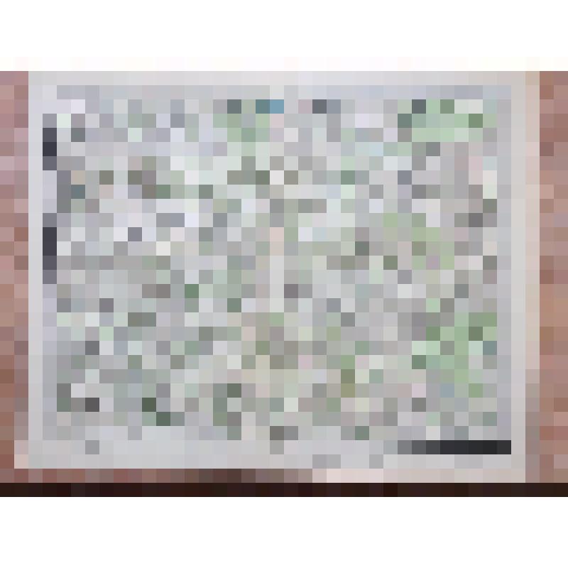 Специальная карта Европейской России (Десятивёрстка). Лист 6