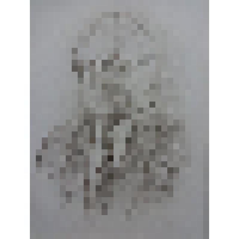 Рисунок. Портрет Аяза Гыйляжева