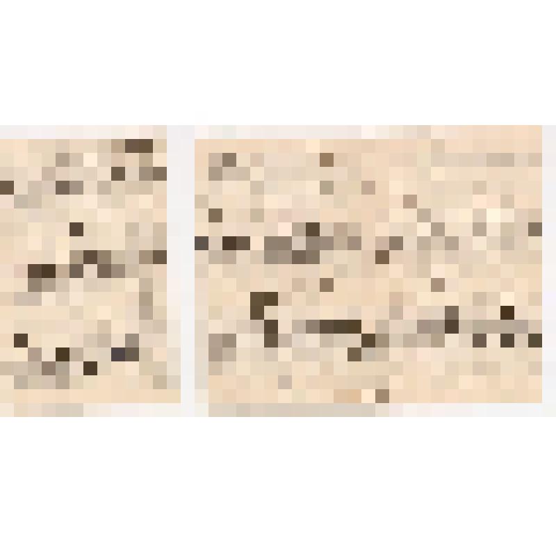 С.С. Митусов. Письмо Н.К. и Е.И. Рерихам (письмо № 1)