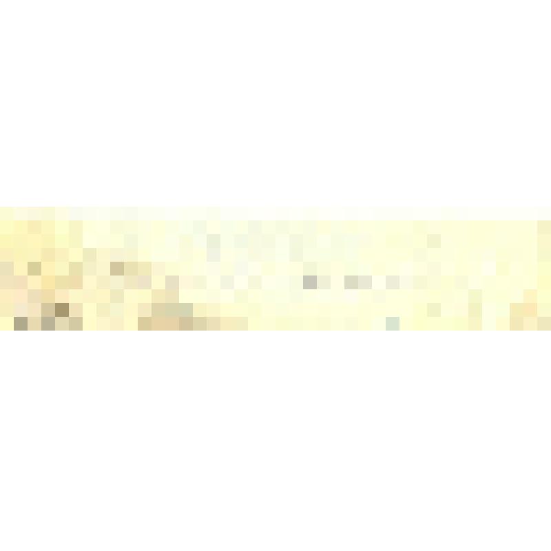 этикетка. Этикетка продукции фабрики "А.П. Селиванов и Кᵒ" цикорий молотый ванильный