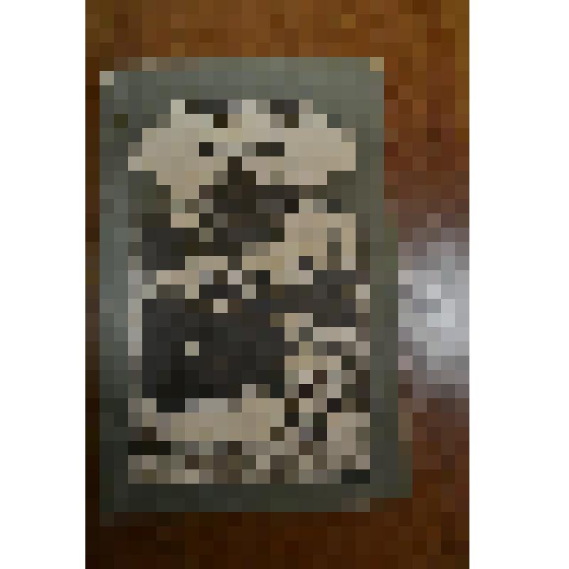 Книга. "История деревни Асянь" (на татарском языке). Татарское книжное издательство. Казань. 1995 