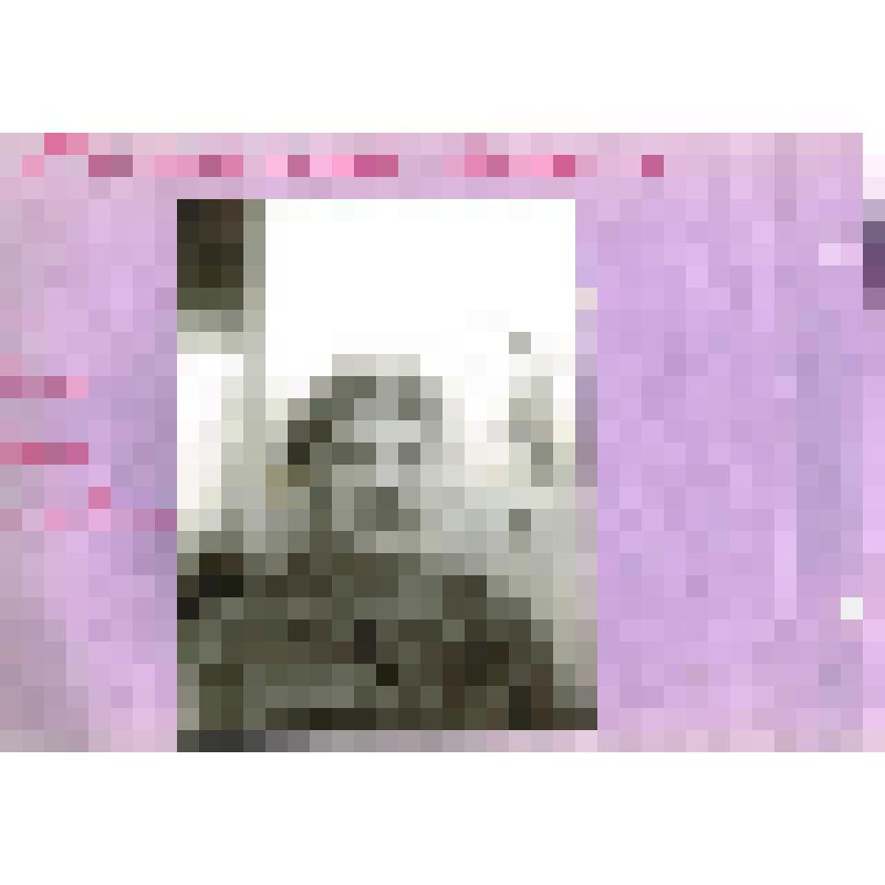 Альбомный лист. История детской поликлиники № 1 города Радужный