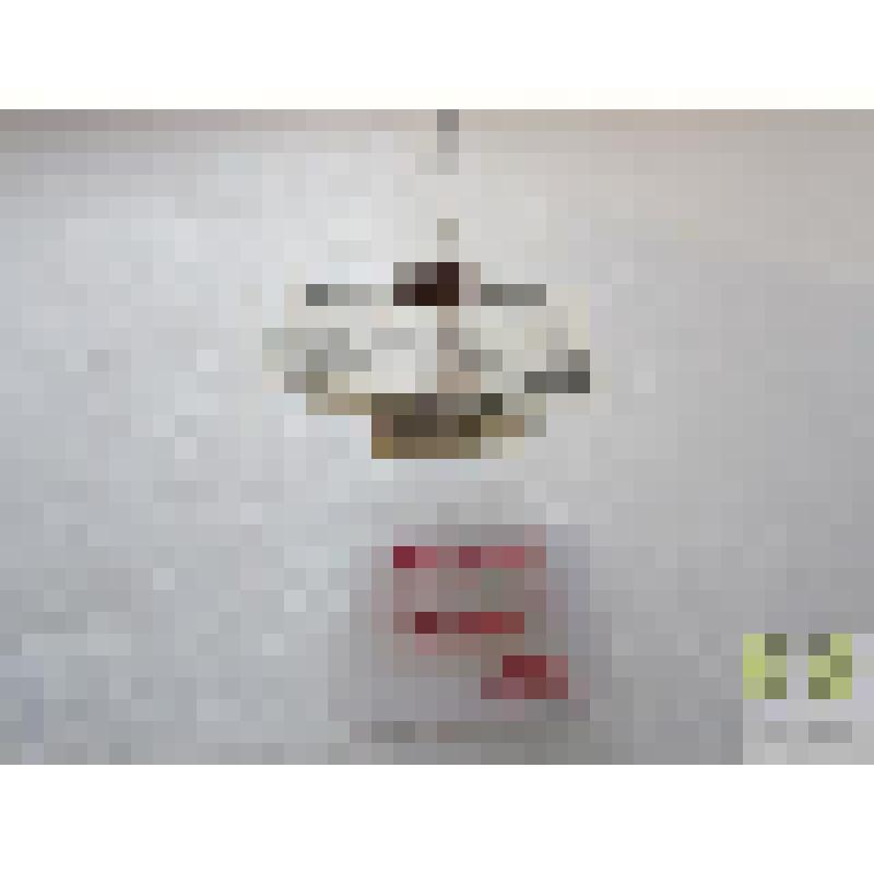 Дихиротрих красногрудый  (Dicheirotrichus rufithorax)